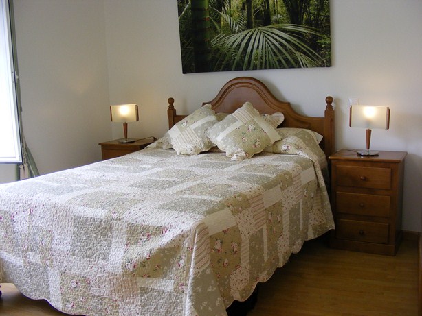 Spacious double bedroom with built in wardrobes and en-suite bathroom with shower